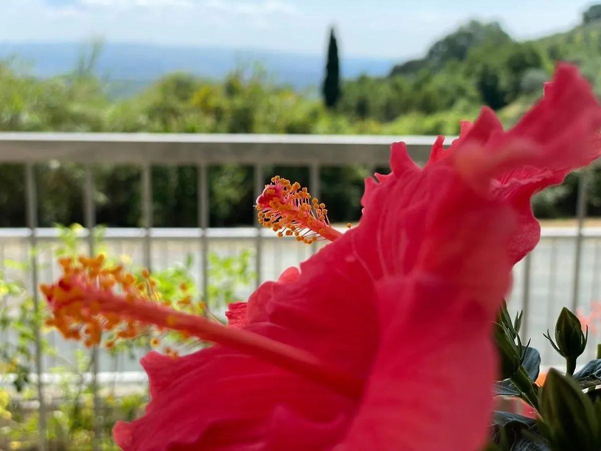 A Casa Di Silvia Apartamento Gambassi Terme