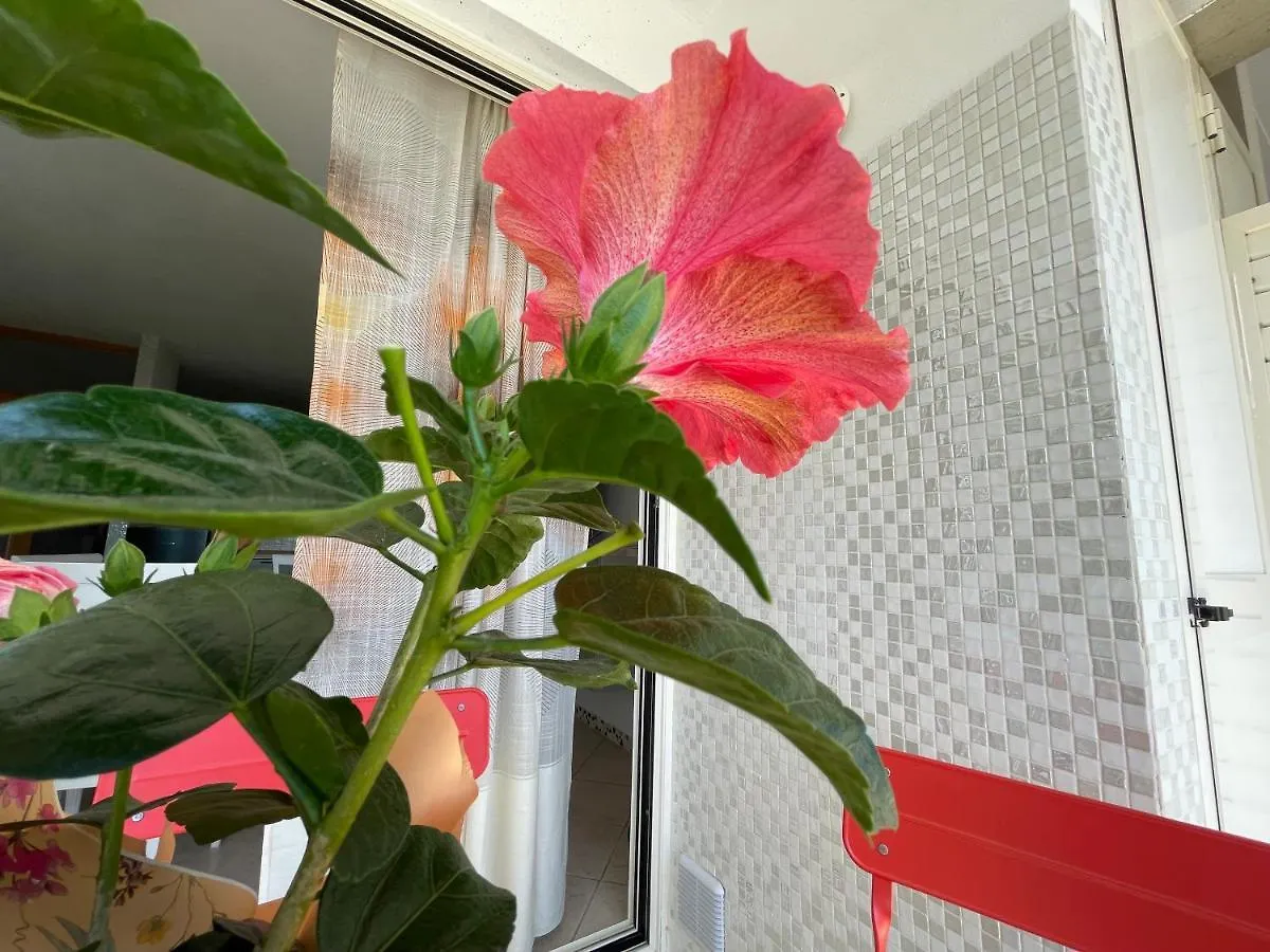 A Casa Di Silvia Apartamento Gambassi Terme